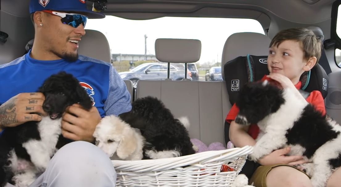 Javy Báez Gets Interviewed While Playing With Puppies