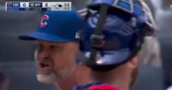 David Ross: MLB News, Bio & More - CubsHQ